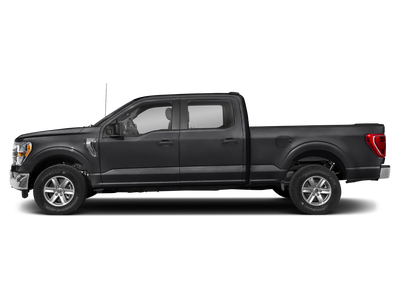 2023 Ford F-150 XLT 4X4