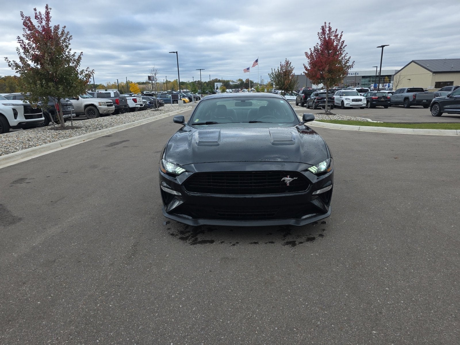 2019 Ford Mustang GT Premium California Special
