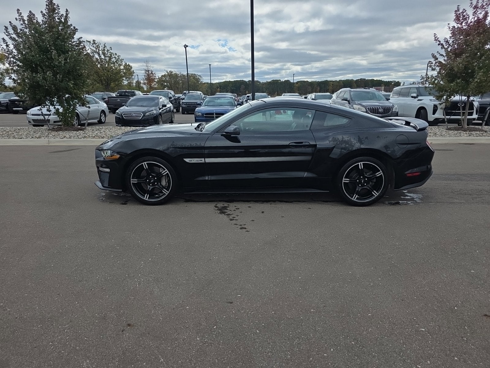 2019 Ford Mustang GT Premium California Special