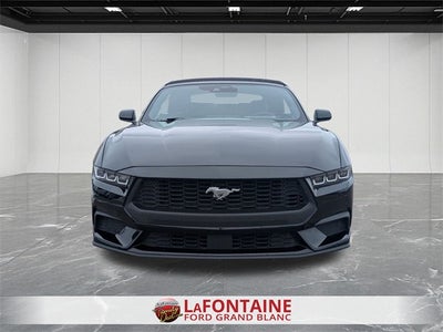 2024 Ford Mustang EcoBoost