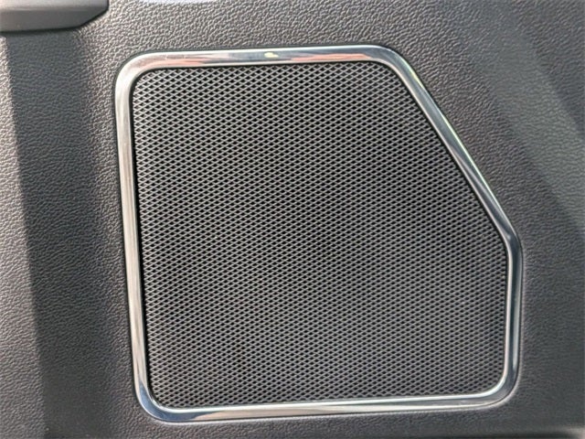 2021 Ford F-350SD Platinum