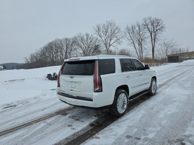 2016 Cadillac Escalade Platinum Edition