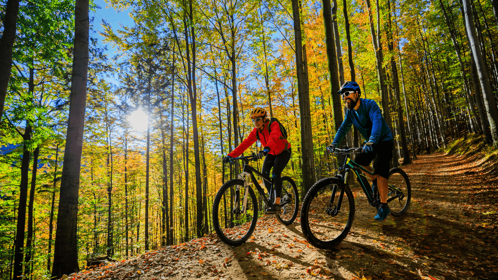 Electric Vehicle Dealer Frankenmuth MI